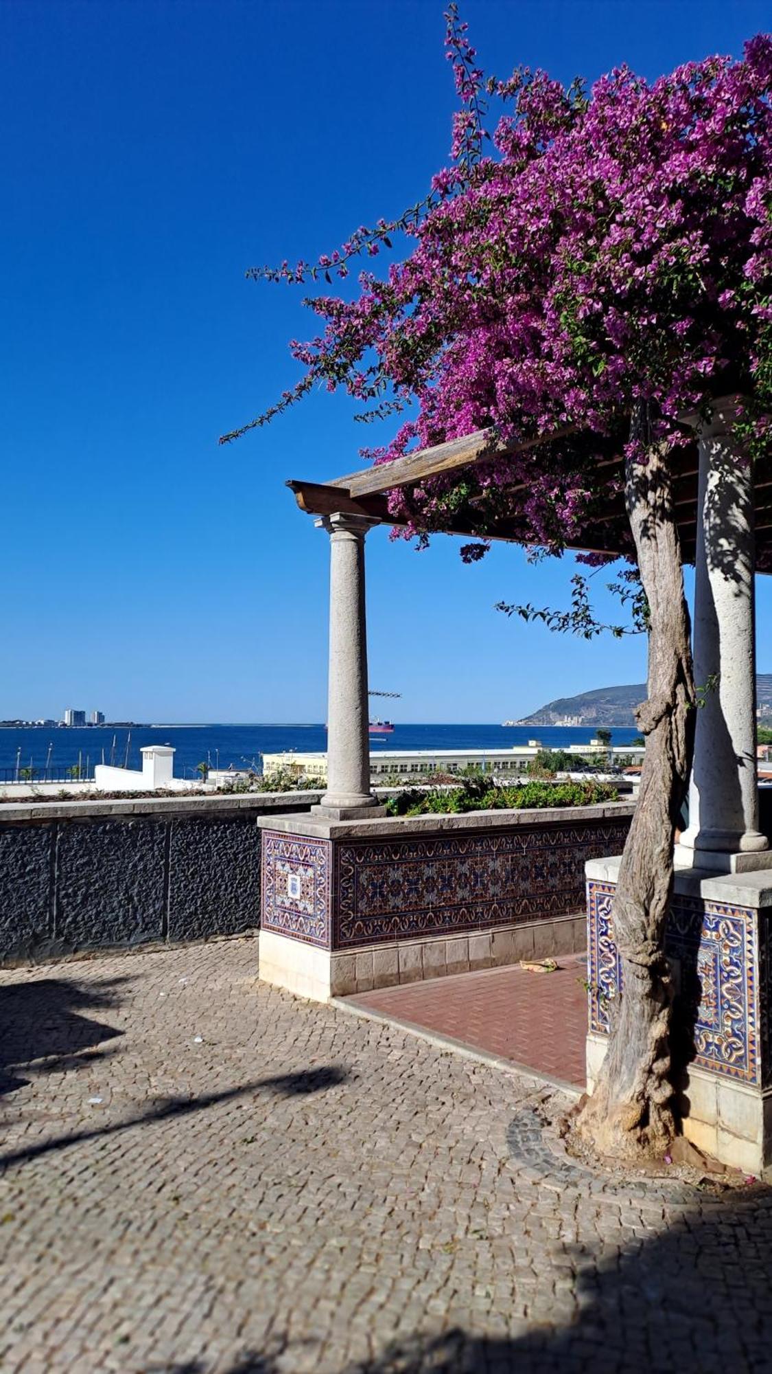 Jangada Apartamento Setubal Apartment ภายนอก รูปภาพ